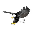 Sticker eagle Sticker eagle