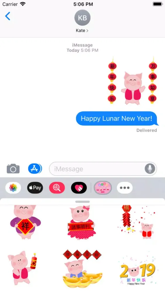 2019 Chinese New Year Pig CNY スクリーンショット