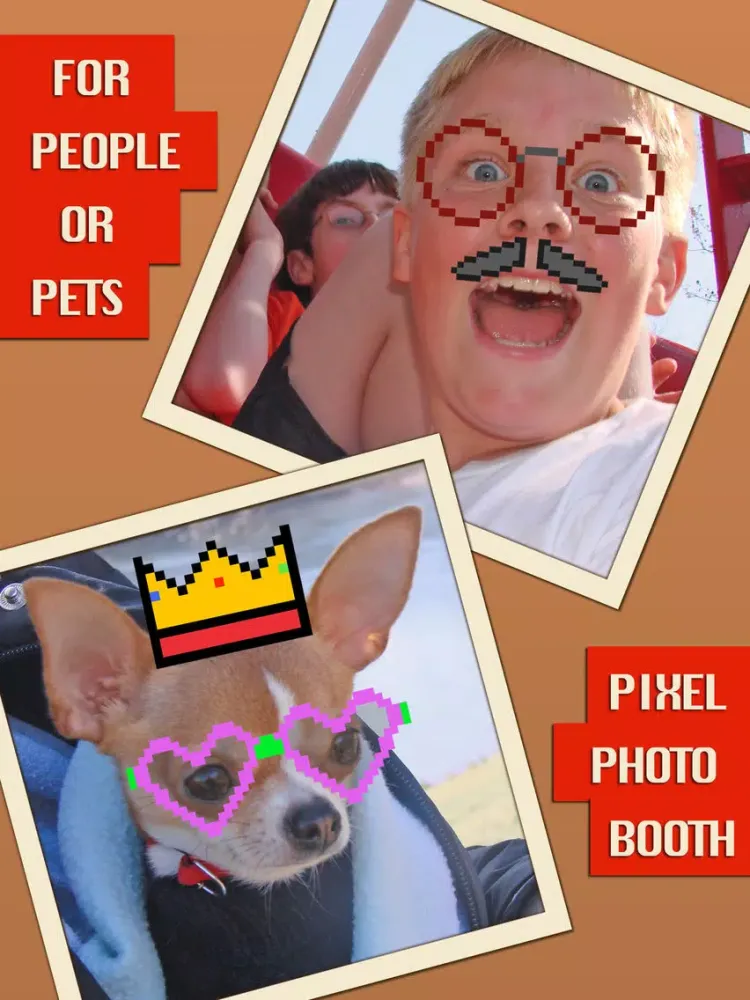 Pixel Photo Booth - Funny Picture Editing iPad 应用截图