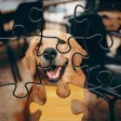 Jigsaw Go - relaxing game