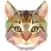Fun With Cat - Angry Cat In Dark House