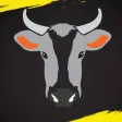 Fun With Cow - Angry Cow In Farm