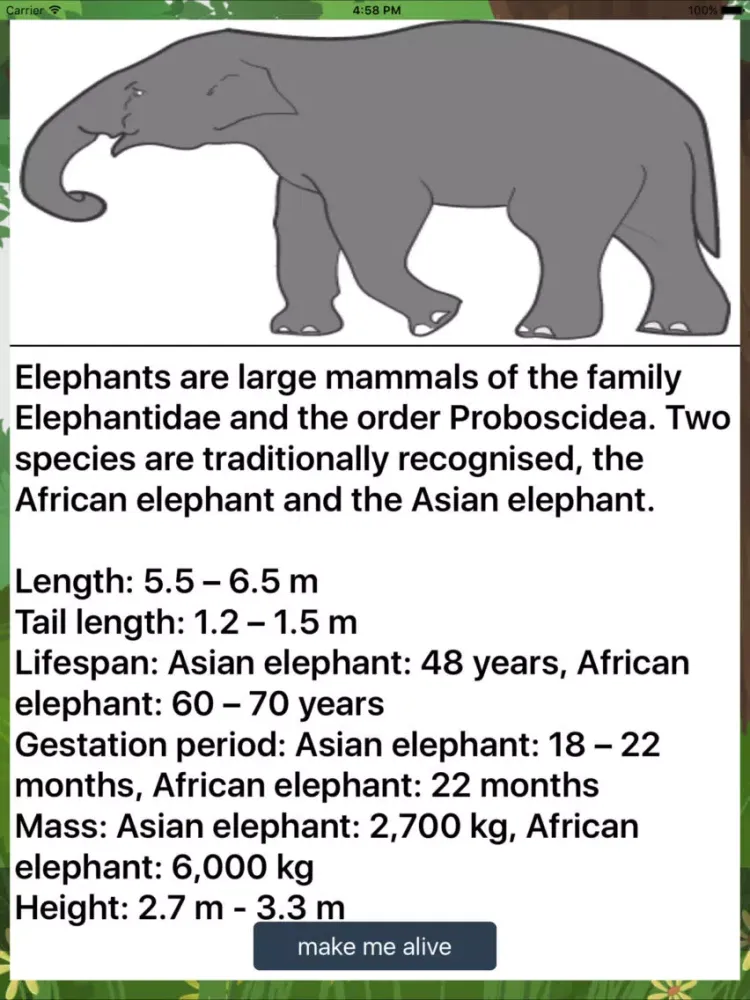 Fun with Elephant - Angry Elephant in jungle iPad  স্ক্রিনশট