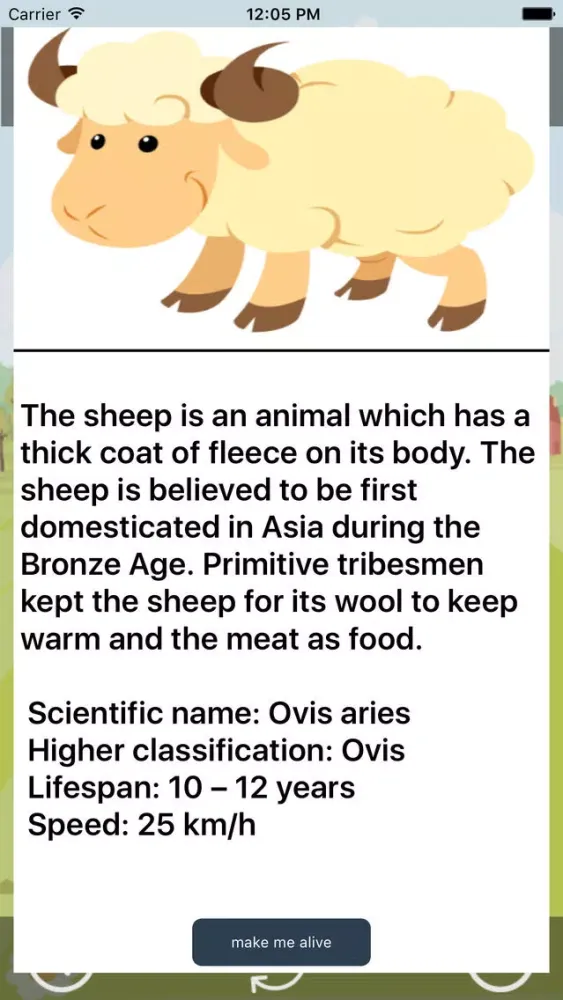 Fun with Sheep - Angry Sheep in country side Farm Screenshots