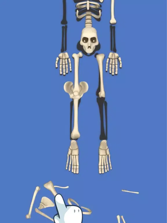 Screenshot di Bones Match 3D iPad 