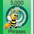 Learn Arabic - 5,000 Phrases