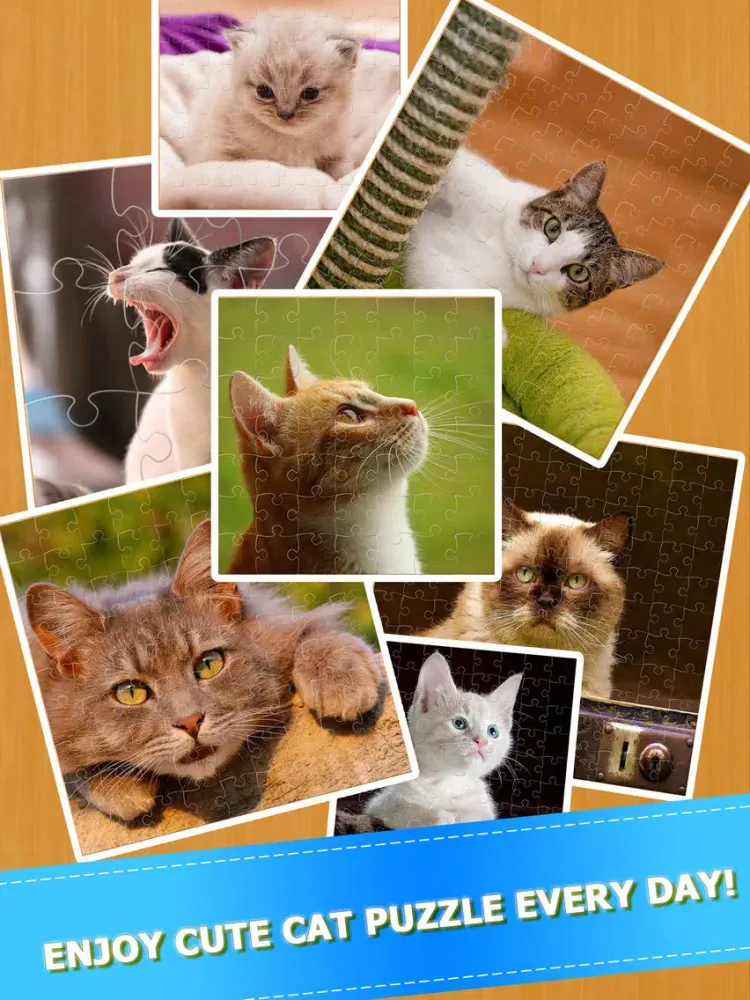 Capturas de pantalla de Cat Kitten Kitty Pet Jigsaw Puzzle Sliding Game iPad 