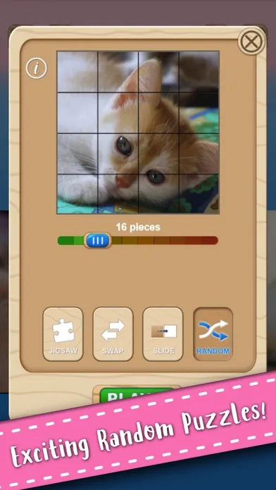 تصاویر Cute Kitten Cat Jigsaw Puzzle