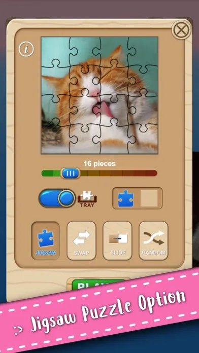 تصاویر Cute Kitten Cat Jigsaw Puzzle