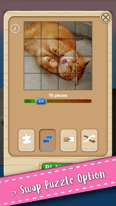 تصاویر Cute Kitten Cat Jigsaw Puzzle
