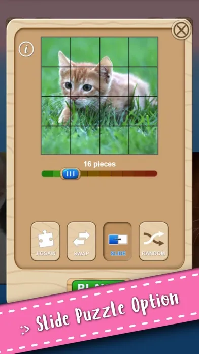 تصاویر Cute Kitten Cat Jigsaw Puzzle