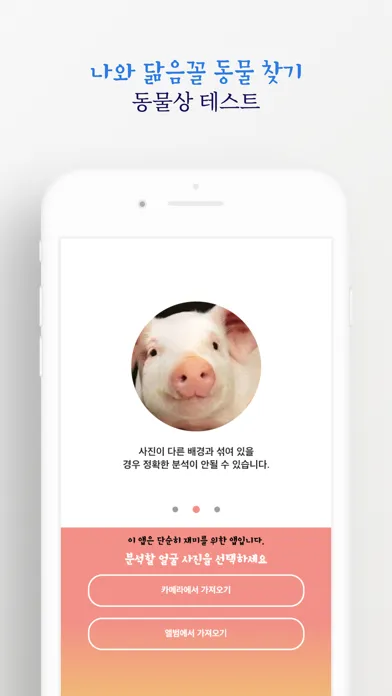 나와 닮은꼴 동물 찾기應用截圖