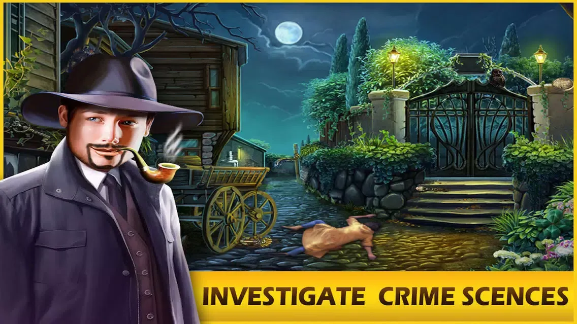 Criminal Case Hidden Mystery應用截圖