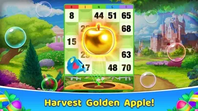 Bingo 365 - 2023 Bingo Games Screenshots