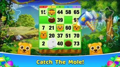 Bingo 365 - 2023 Bingo Games Screenshots