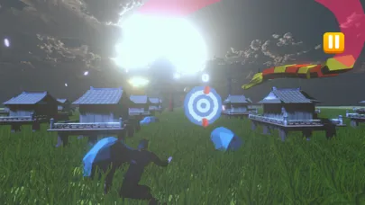 صور Knife Ninja Hit