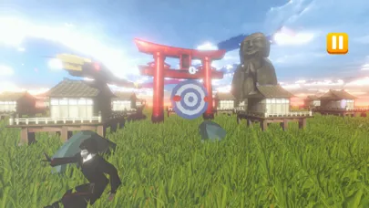 صور Knife Ninja Hit
