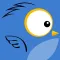 Flap Happy