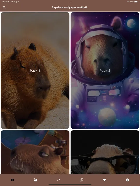 Capybara Wallpaper - Funny Pet iPad  Screenshots