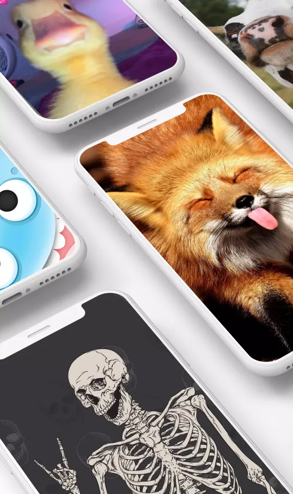 Capturas de pantalla de Funny Wallpaper