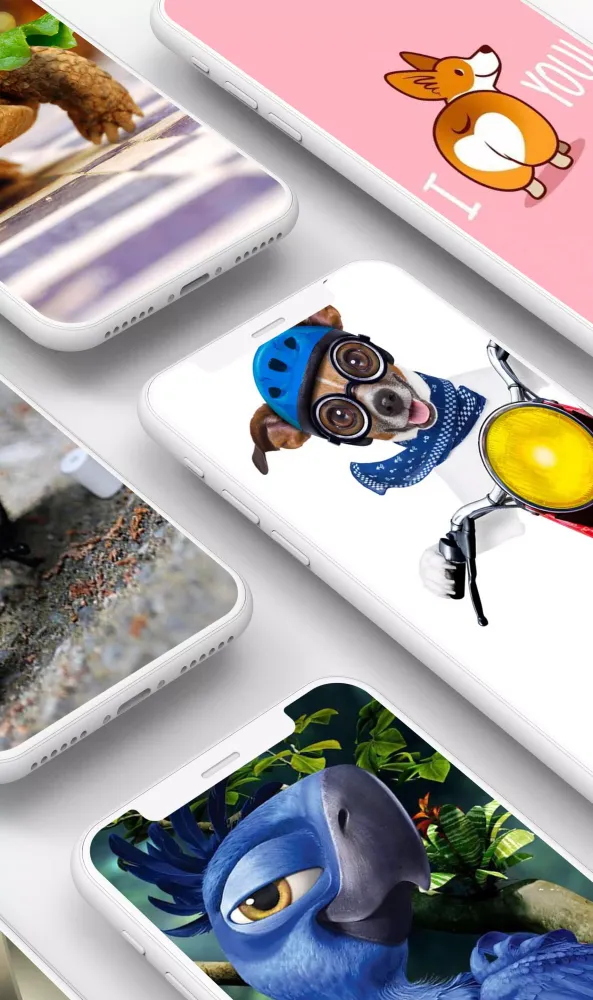 Capturas de pantalla de Funny Wallpaper