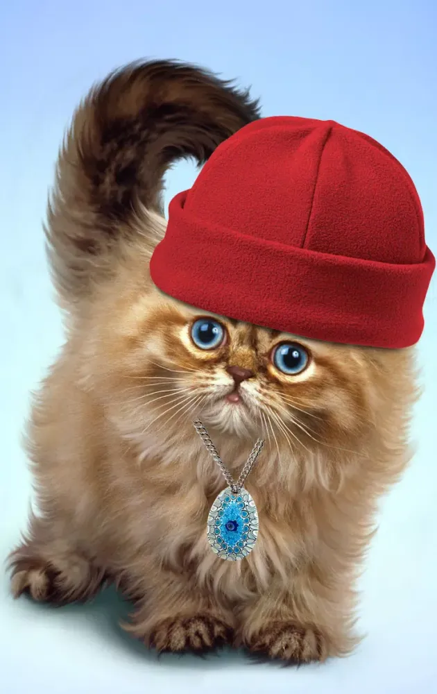 Fluffy cat Screenshots