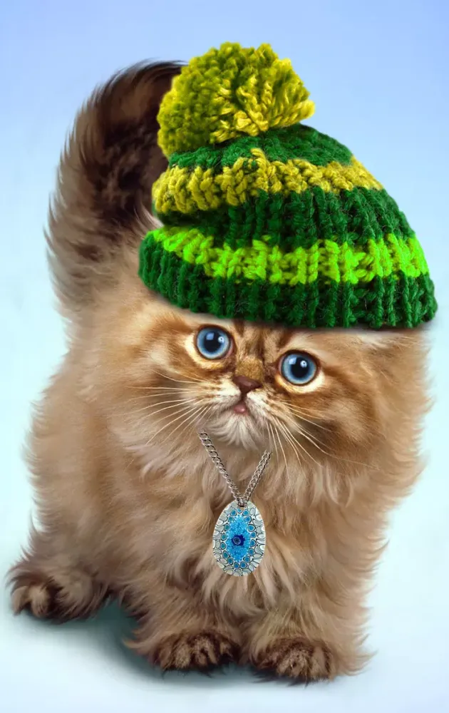 Fluffy cat Screenshots