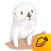 HADARI of seashore village - Mango Sticker