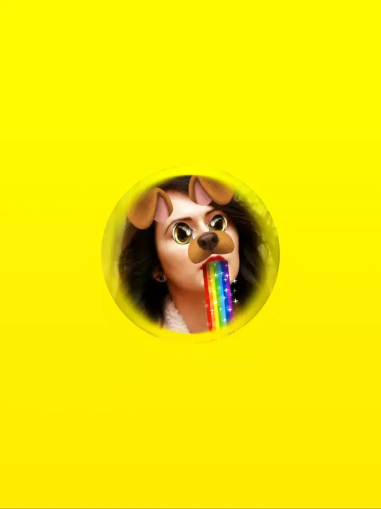 Doggy Face Effects iPad 應用截圖