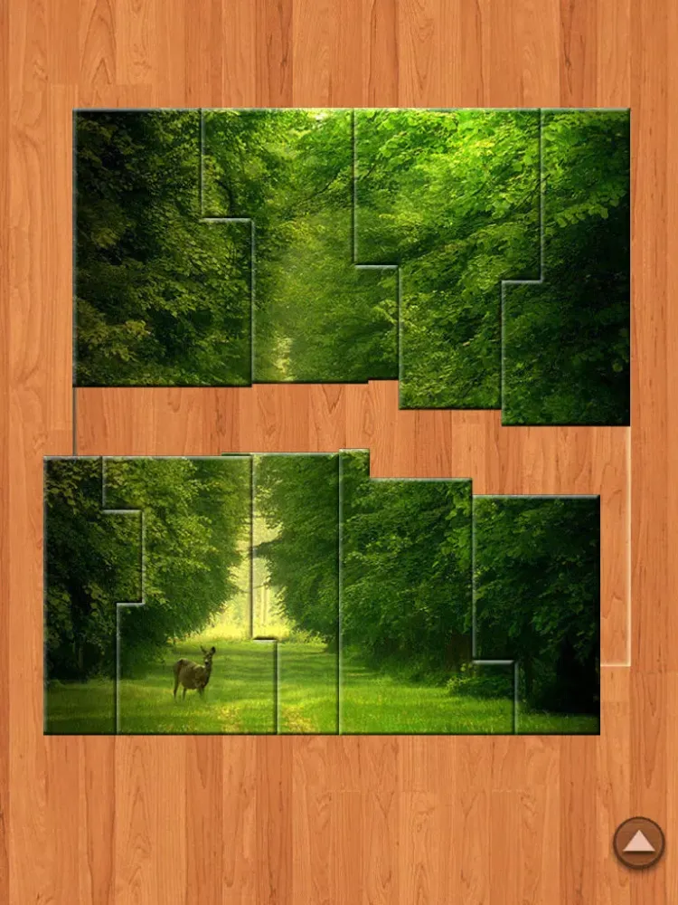 Capturas de tela do Jigsaw PUZ iPad 