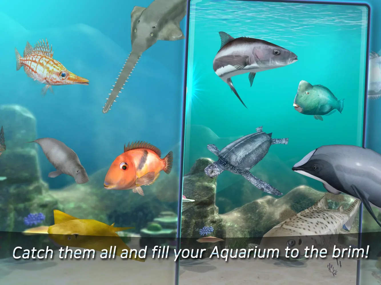 Fishing King :The Urban Angler应用截图