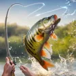 My Fishing Tour: Hook and Jerk My Fishing Tour: Hook and Jerk