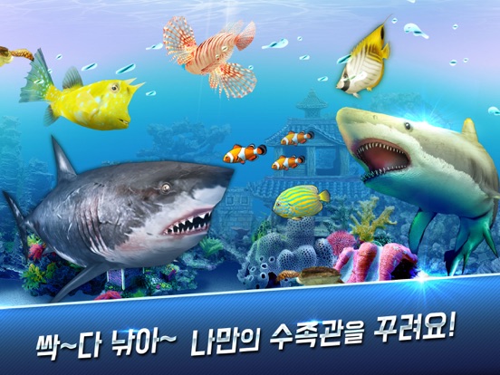 낚시왕 : 도시어부의 길 iPad  سکرین شاٹس