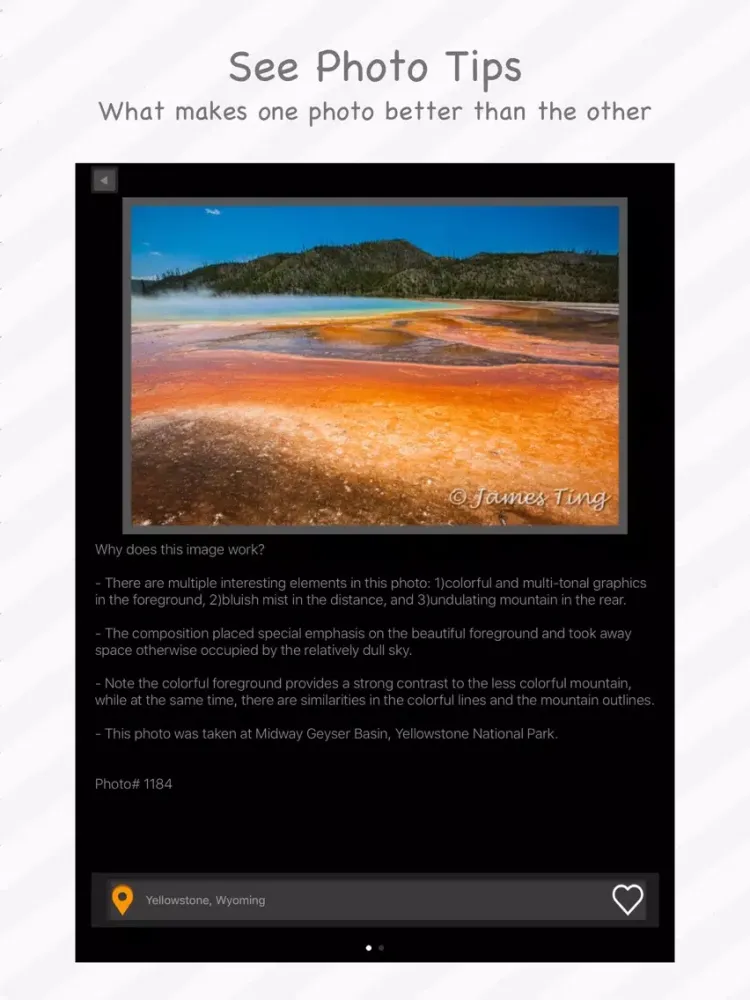 FunPicks Photo - Learn Photo Tips the Fun Way iPad  スクリーンショット
