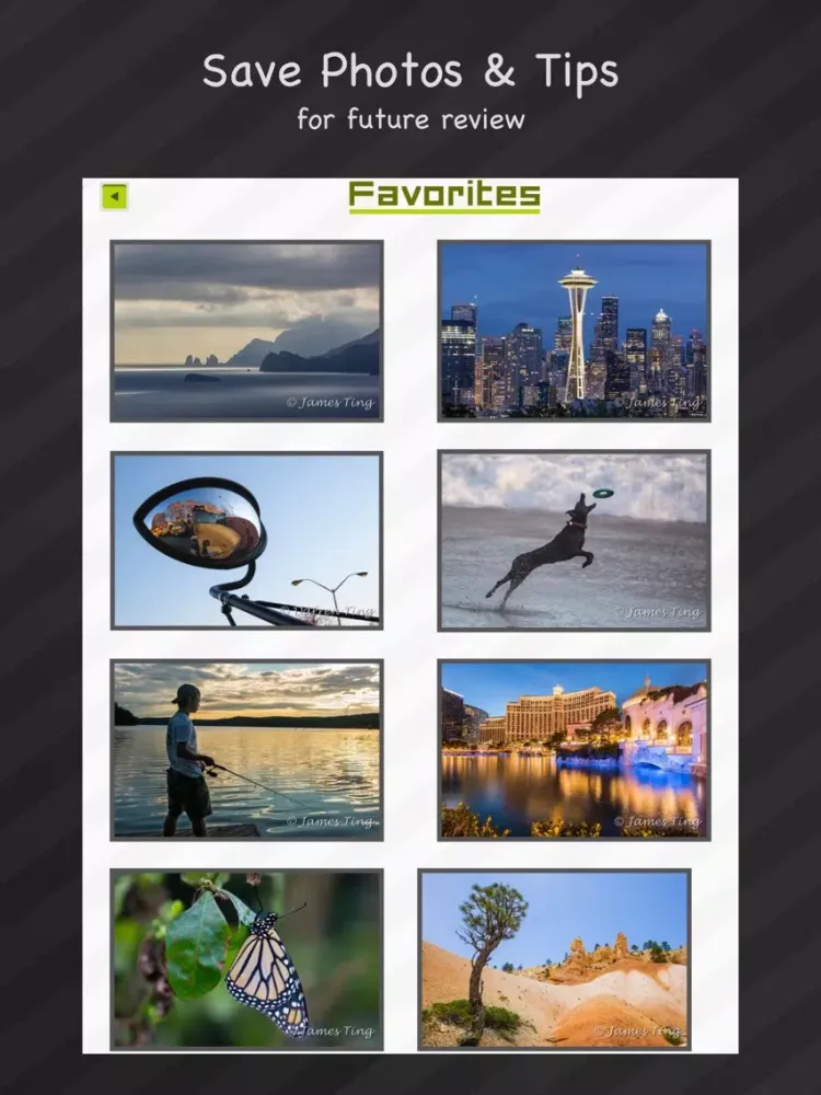 FunPicks Photo - Learn Photo Tips the Fun Way iPad  スクリーンショット