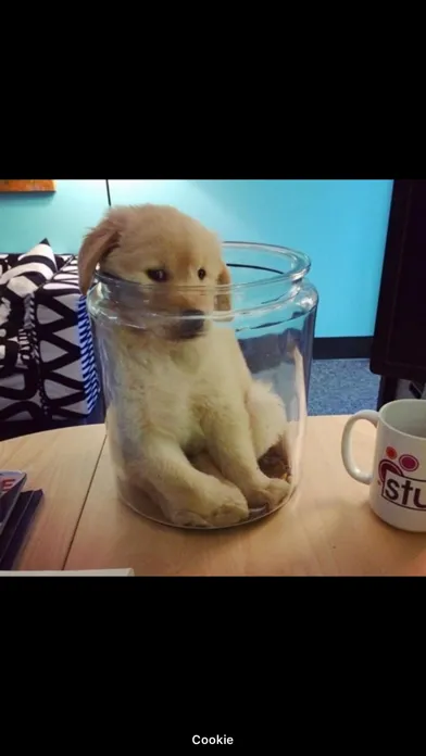 Captures d'écran de Cute Pics