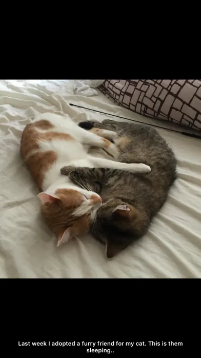 Captures d'écran de Cute Pics