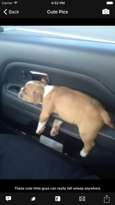 Captures d'écran de Cute Pics