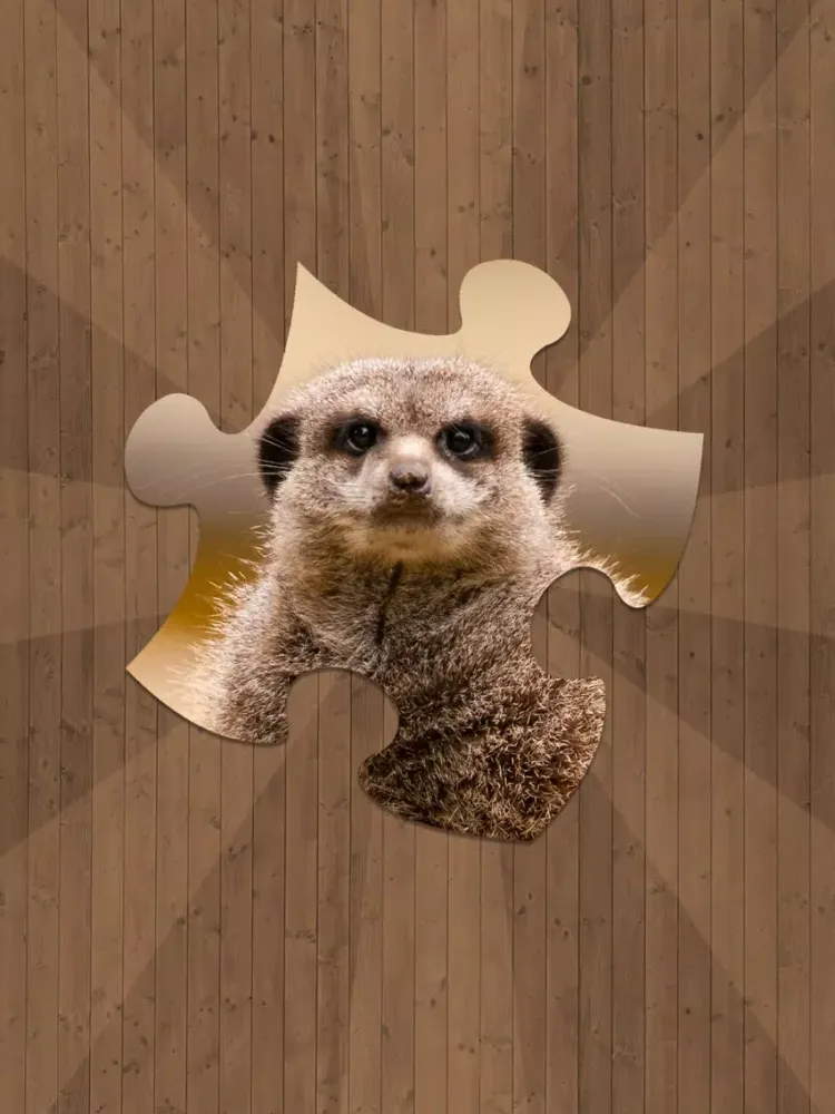 Zrzuty ekranu Fun Puzzle Games iPad 