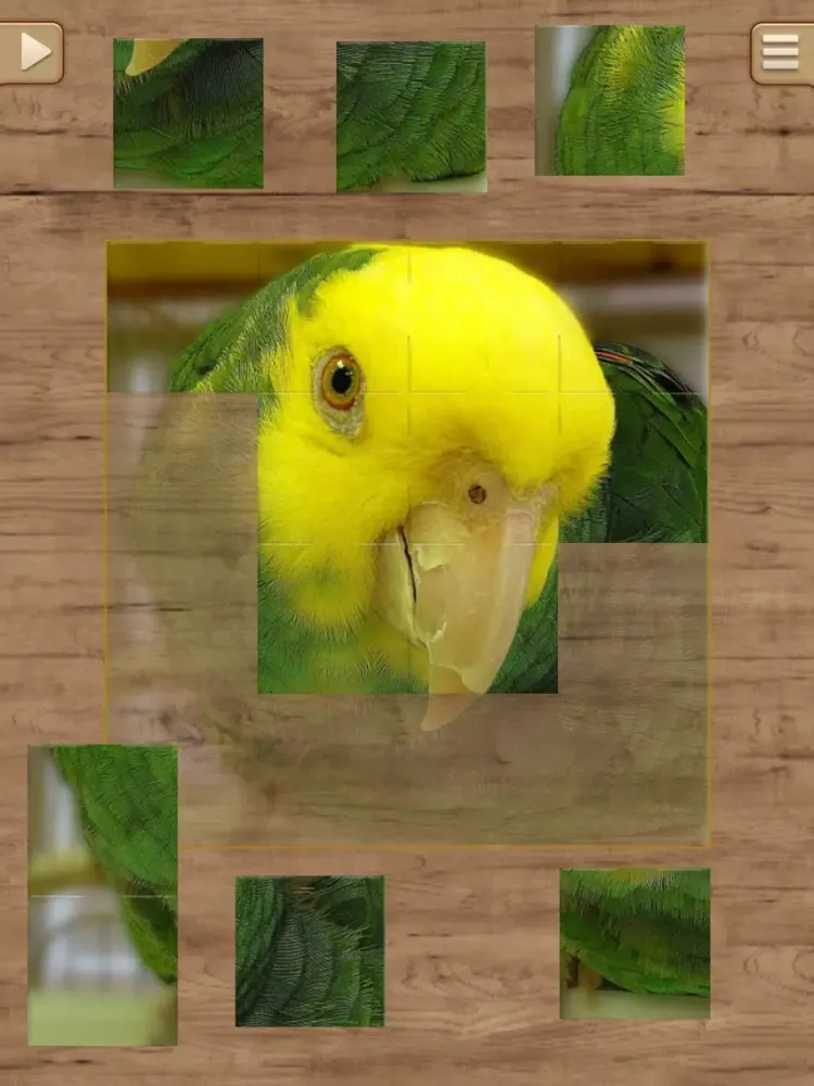 Zrzuty ekranu Fun Puzzle Games iPad 