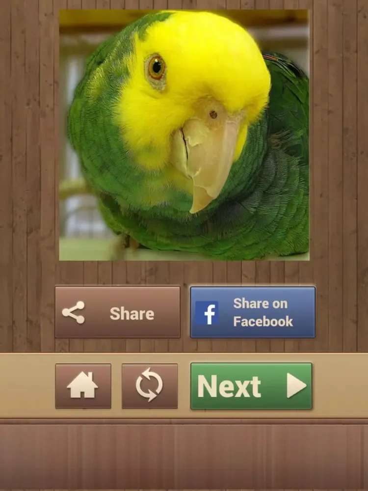 Zrzuty ekranu Fun Puzzle Games iPad 