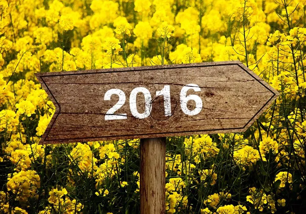 New Year Puzzle Screenshots