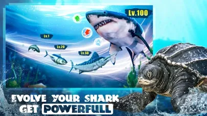 Capturas de tela do Shark Attack: Hungry Fish Game