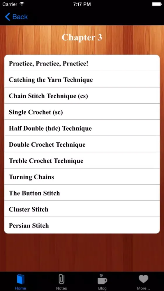 Crocheting For Fun & Profits Learn How to Crochet Ekran Görüntüleri