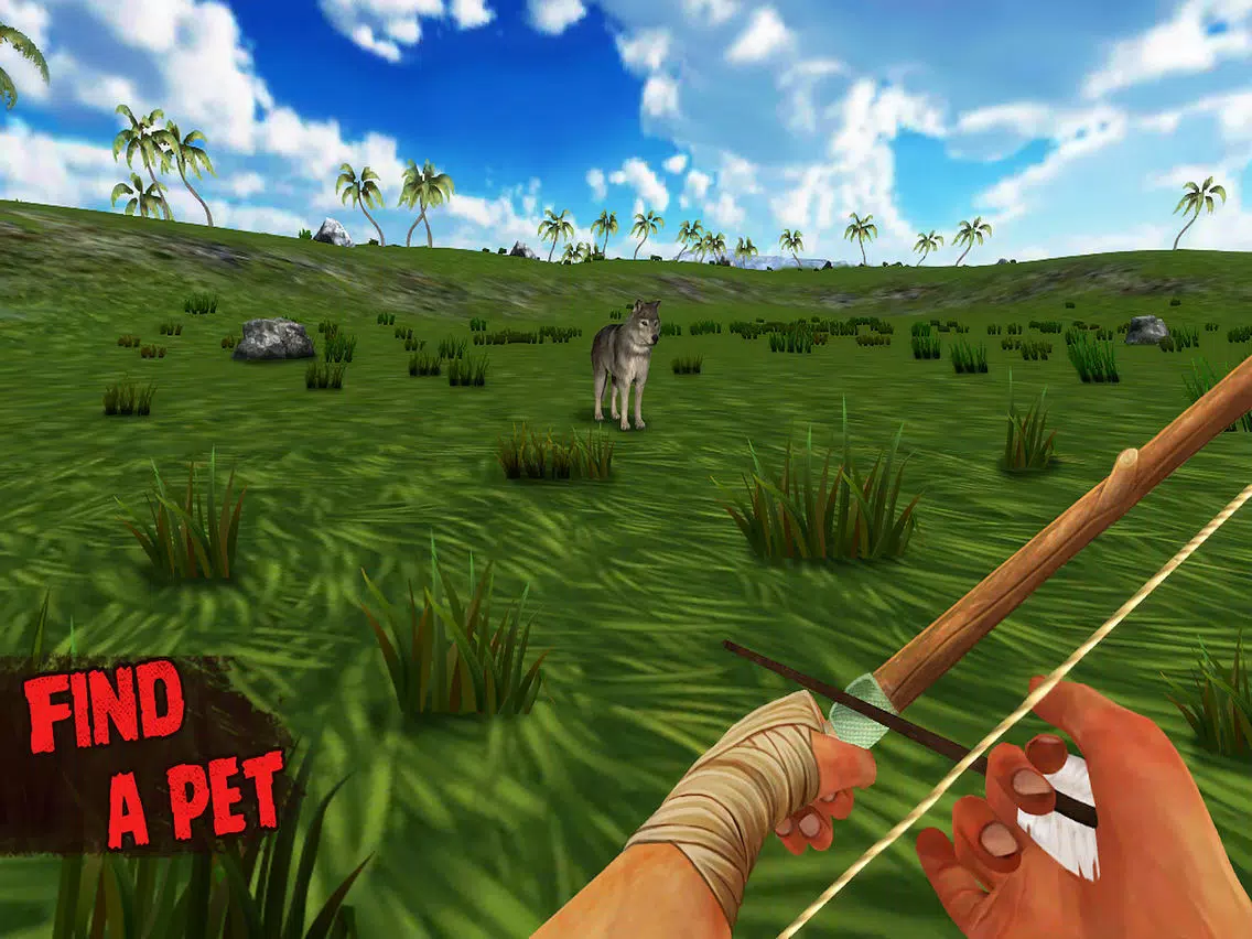 Lost and Survive 2 iPad 應用截圖