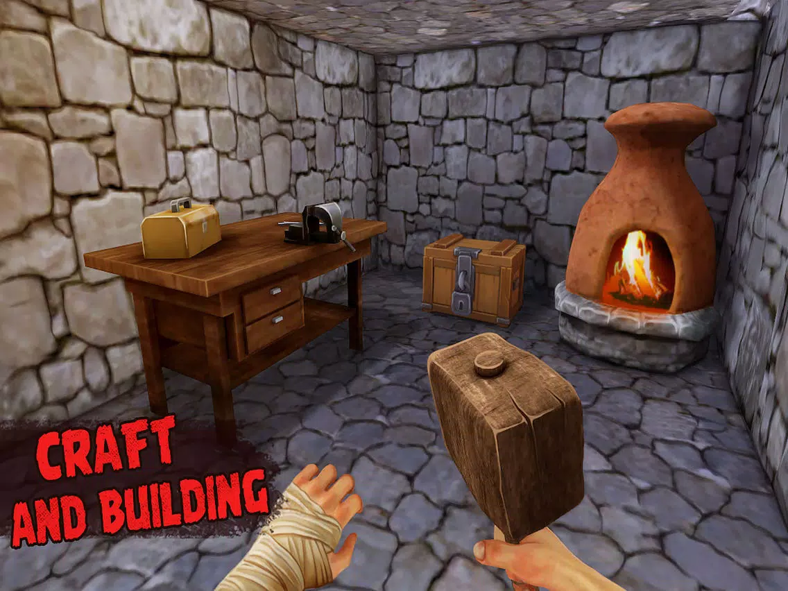 Lost and Survive 2 iPad 應用截圖
