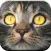 Kitty Cat: Meow Games for Kids