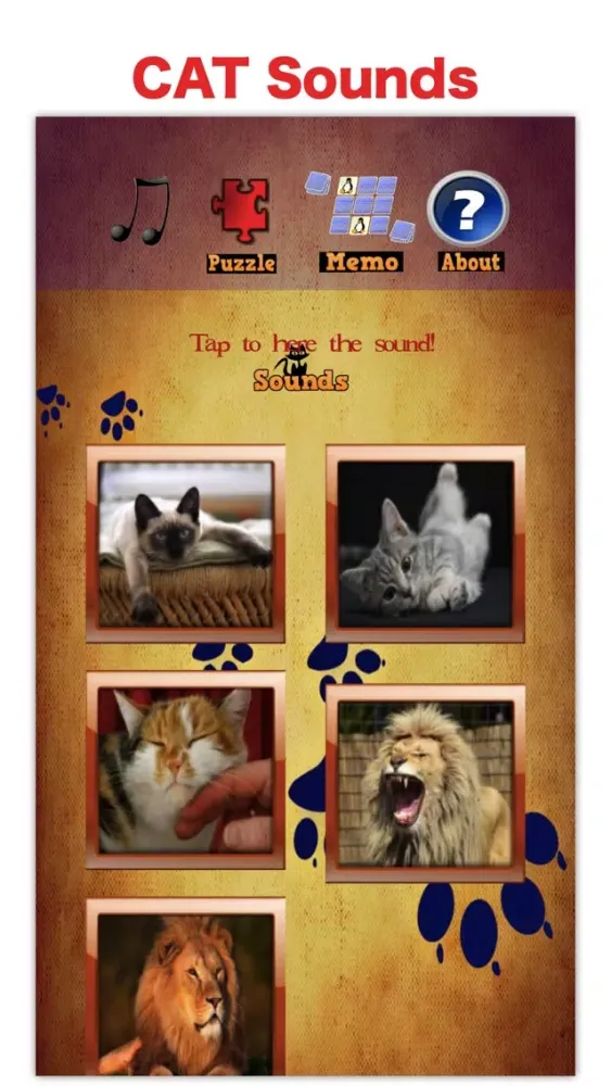 Zrzuty ekranu Kitty Cat: Meow Games for Kids