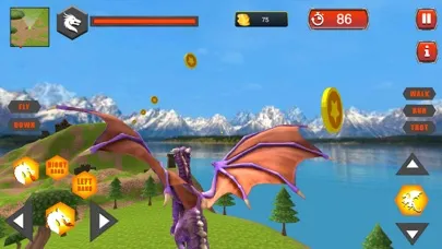 Village Dragon Combat应用截图