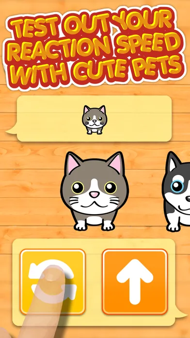 صور Neko & Doggie Dojo - My Dear Mini Smart Pets Choice Games